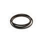 86514512 Combine Upper Rotary Screen Belt fits Case-IH 