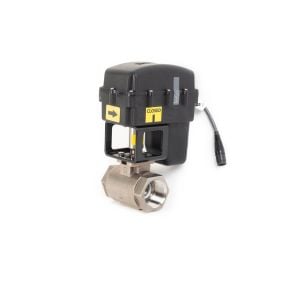 Raven 1-1/2" Fast Valve Assembly 0630173626