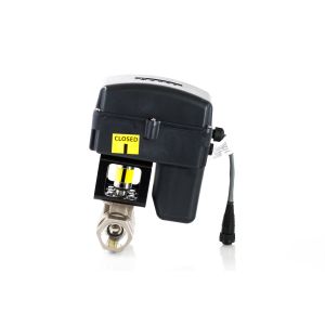 Raven 1" On Off Valve Assembly 0630173876