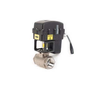 Raven 1-1/2" Fast Valve Assembly 0630173626